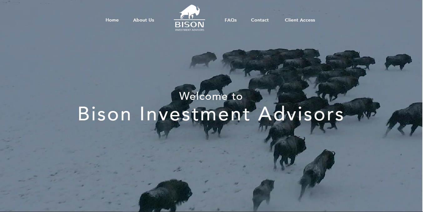 Bison Investment Advisors